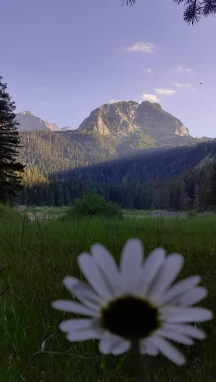 Rooms Apartment Durmitor Žabljak Eksteriør bilde