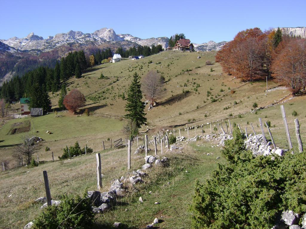 Rooms Apartment Durmitor Žabljak Eksteriør bilde
