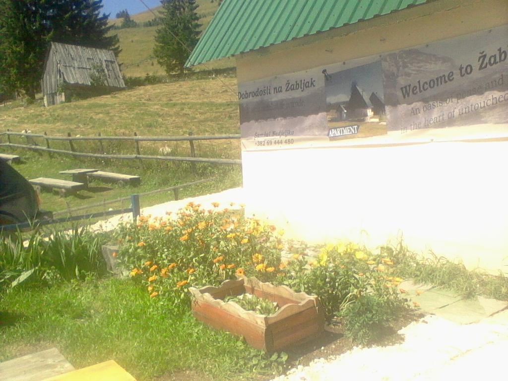 Rooms Apartment Durmitor Žabljak Eksteriør bilde