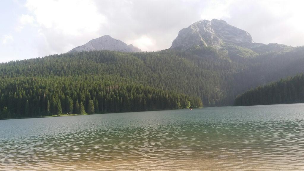 Rooms Apartment Durmitor Žabljak Eksteriør bilde