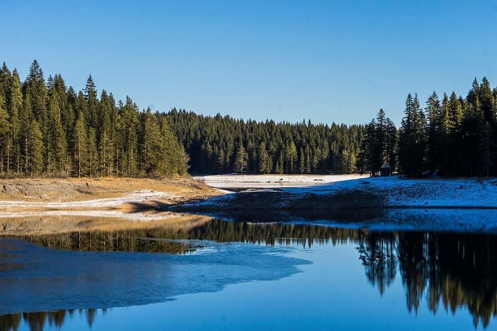 Rooms Apartment Durmitor Žabljak Eksteriør bilde